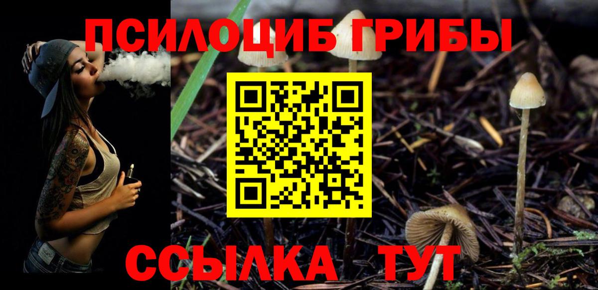 Приморско-Ахтарск  Галлюциногенные грибы Cubensis  Псилоцибиновые грибы мухоморы  Вход с VPN 